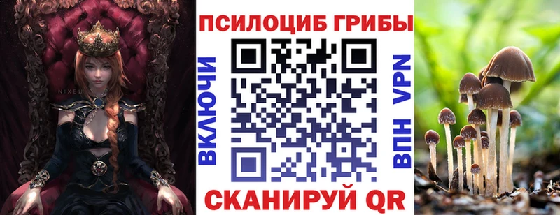 как найти наркотики  Ивантеевка  Псилоцибиновые грибы мицелий 